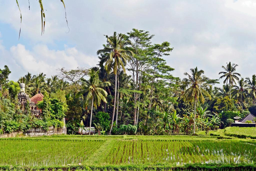 Ubud Kartini Hostel מראה חיצוני תמונה