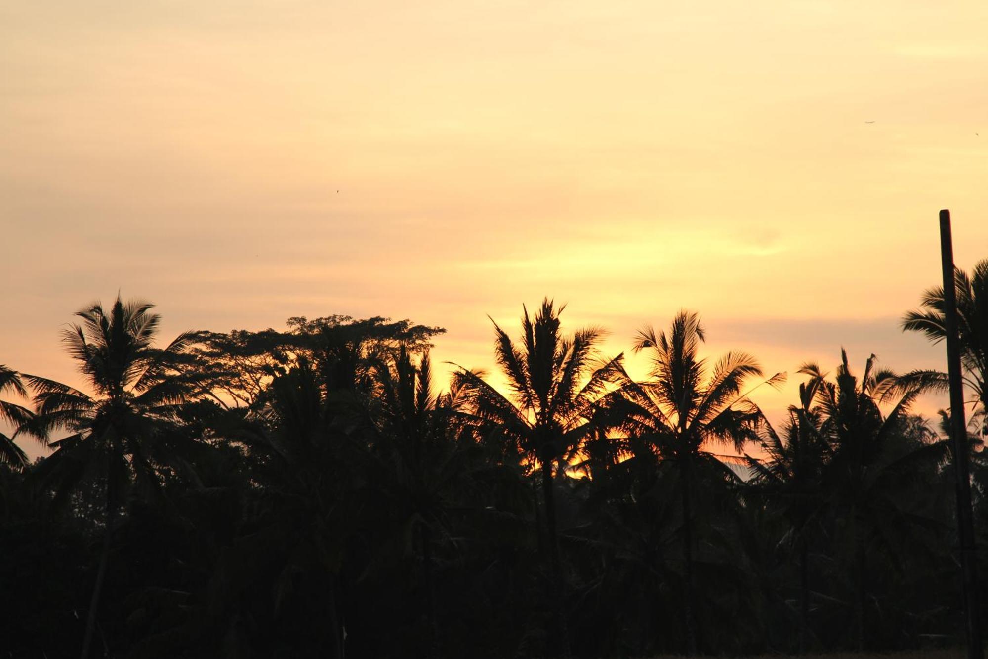 Ubud Kartini Hostel מראה חיצוני תמונה