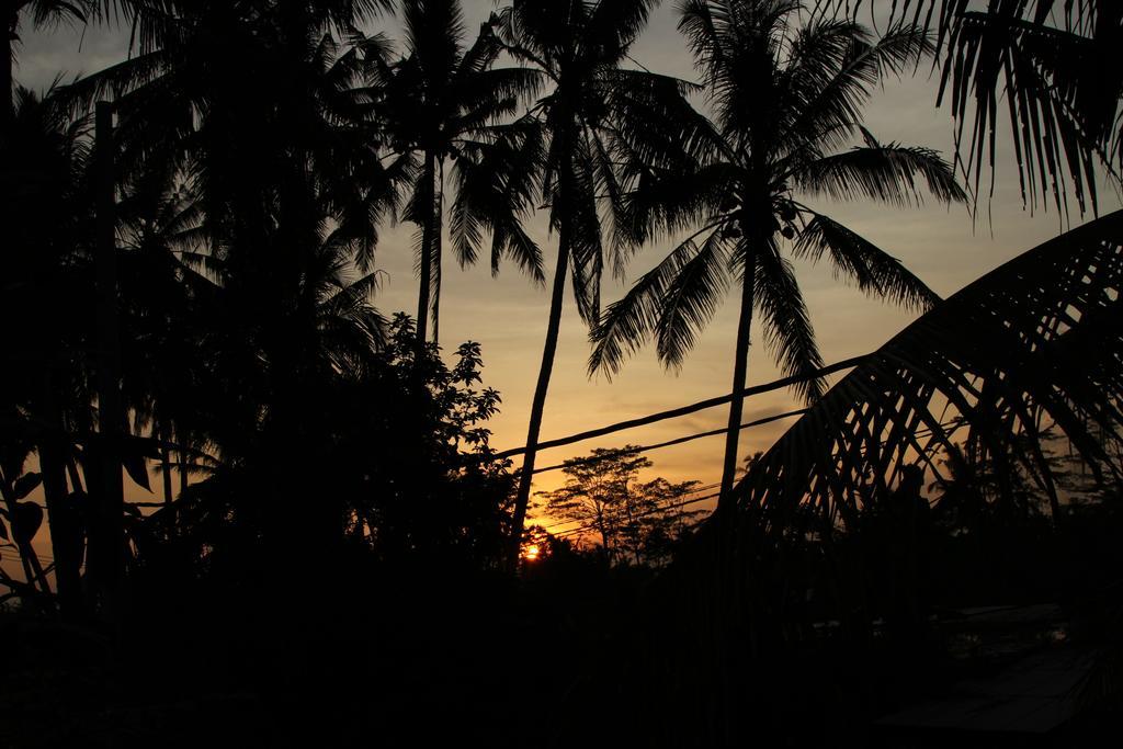 Ubud Kartini Hostel מראה חיצוני תמונה