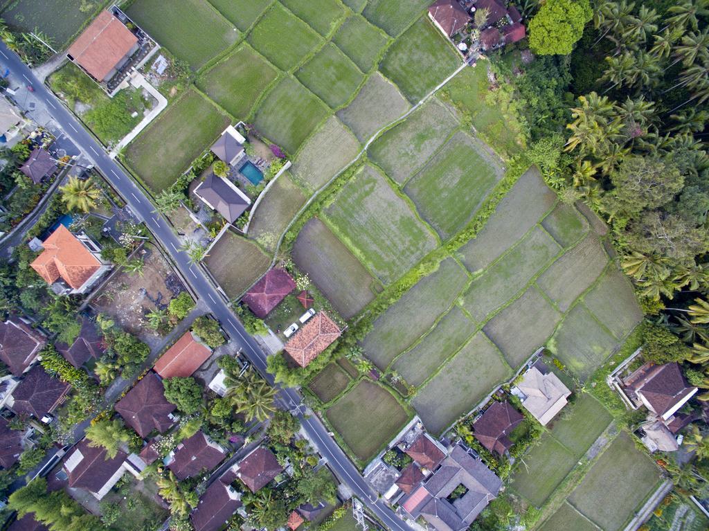 Ubud Kartini Hostel מראה חיצוני תמונה